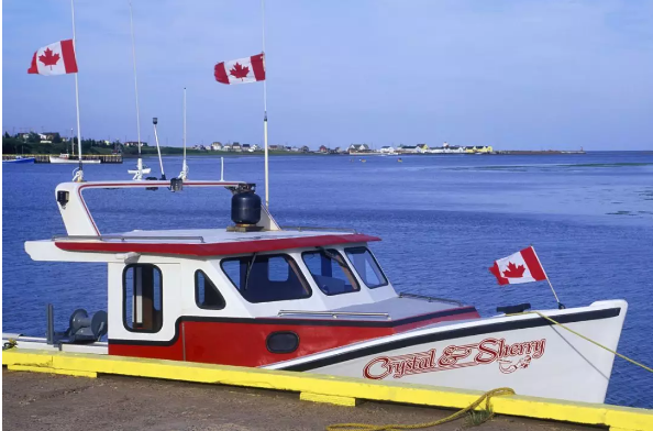 大西洋移民試點(diǎn)計劃最新進(jìn)展