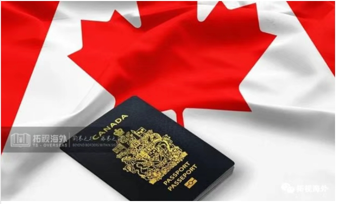 加拿大移民局將嚴(yán)查“偽單身”，查到直接取消PR  